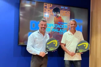 presentacion fip promises diputacion de malaga