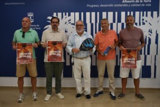 presentación fip promises diputación de málaga